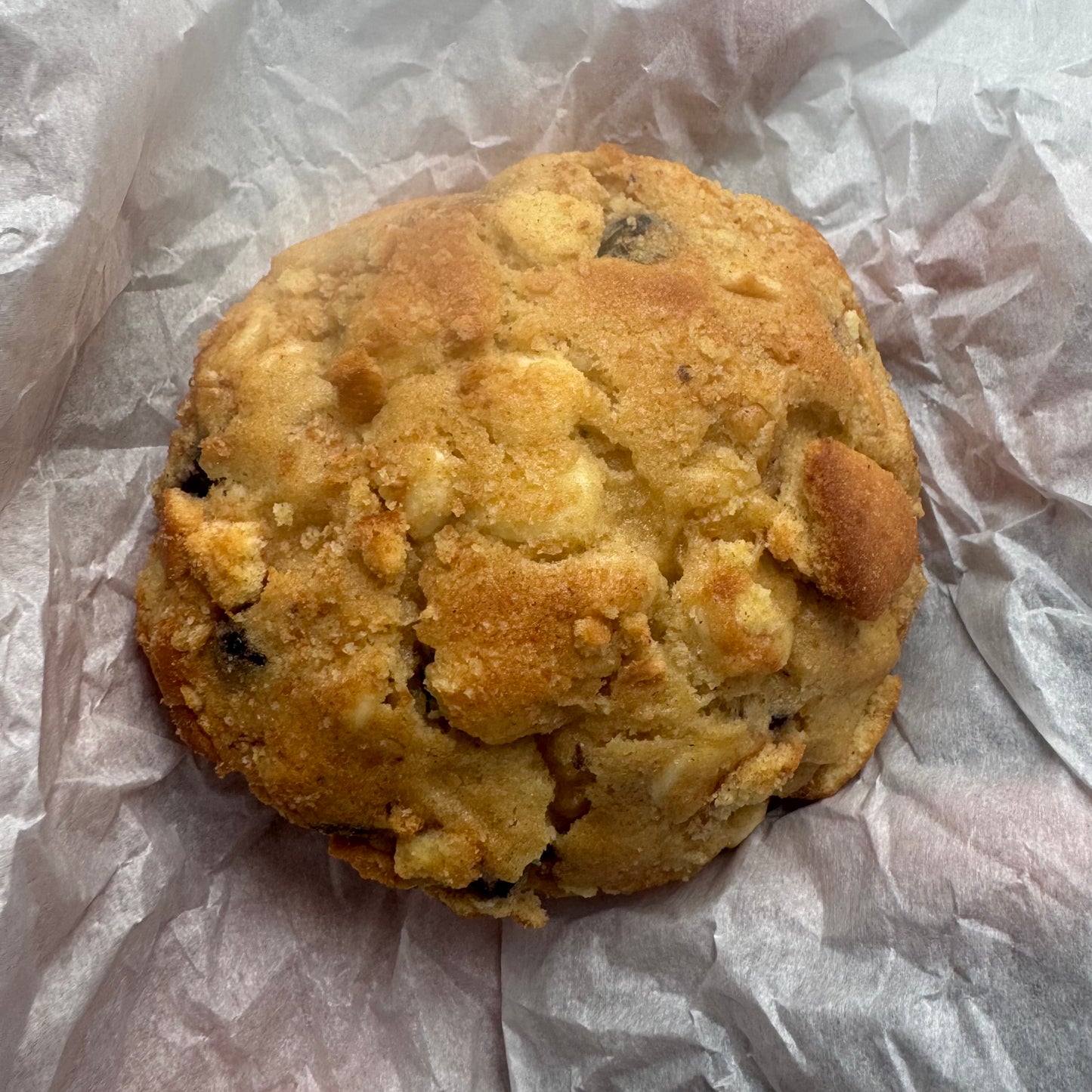 BLUEBERRY MUFFIN