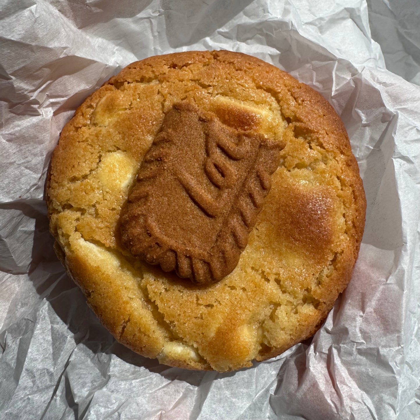 BISCOFF